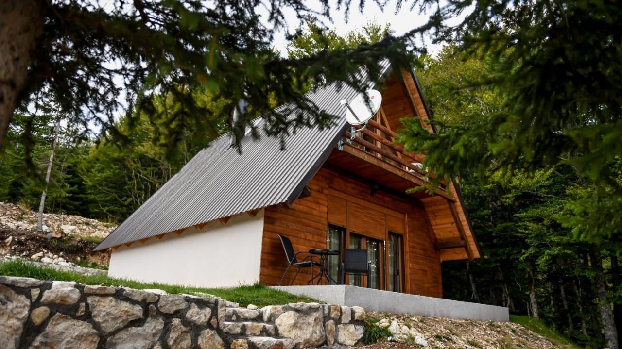 Highlander Holiday home *